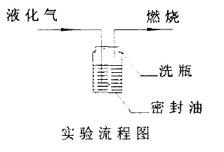 实验流程图